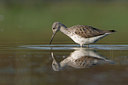 BUITEN BEELD Foto: 38134