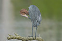 BUITEN BEELD Foto: 38154