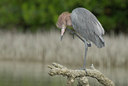 BUITEN BEELD Foto: 38155