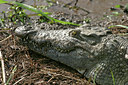 BUITEN BEELD Foto: 38240