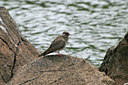 BUITEN BEELD Foto: 38255
