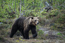 BUITEN BEELD Foto: 38357