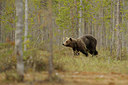 BUITEN BEELD Foto: 38360