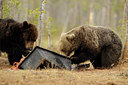 BUITEN BEELD Foto: 38362