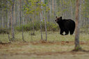 BUITEN BEELD Foto: 38363