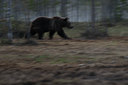 BUITEN BEELD Foto: 38364