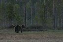 BUITEN BEELD Foto: 38365