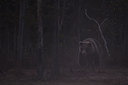 BUITEN BEELD Foto: 38374