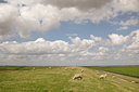 BUITEN BEELD Foto: 38386