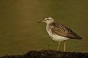 BUITEN BEELD Foto: 38416