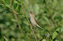 BUITEN BEELD Foto: 38489