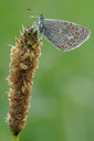 BUITEN BEELD Foto: 38521