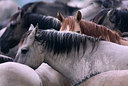 BUITEN BEELD Foto: 38557