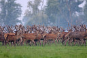 BUITEN BEELD Foto: 38558
