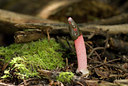 BUITEN BEELD Foto: 38681