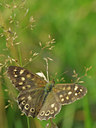 BUITEN BEELD Foto: 38697