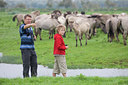 BUITEN BEELD Foto: 38729