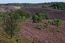 BUITEN BEELD Foto: 38814