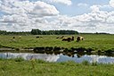 BUITEN BEELD Foto: 38826