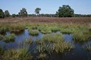 BUITEN BEELD Foto: 38861