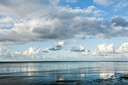 BUITEN BEELD Foto: 38878