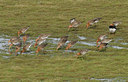 BUITEN BEELD Foto: 38973