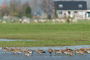 BUITEN BEELD Foto: 38976