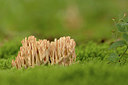 BUITEN BEELD Foto: 389491