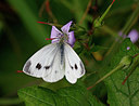 BUITEN BEELD Foto: 391888