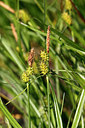 BUITEN BEELD Foto: 391914