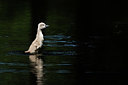 BUITEN BEELD Foto: 392310