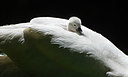 BUITEN BEELD Foto: 392322