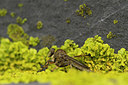 BUITEN BEELD Foto: 392360