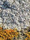 BUITEN BEELD Foto: 392361