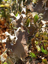 BUITEN BEELD Foto: 392369