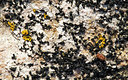 BUITEN BEELD Foto: 392375