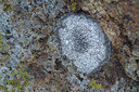 BUITEN BEELD Foto: 392380