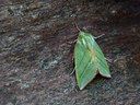 BUITEN BEELD Foto: 392599
