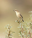 BUITEN BEELD Foto: 392684