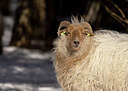 BUITEN BEELD Foto: 392958