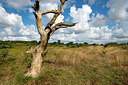 BUITEN BEELD Foto: 392968