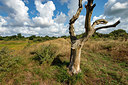 BUITEN BEELD Foto: 392971