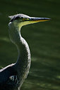 BUITEN BEELD Foto: 392999