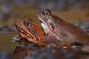 BUITEN BEELD Foto: 393774