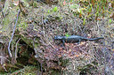 BUITEN BEELD Foto: 394148