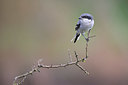 BUITEN BEELD Foto: 394533