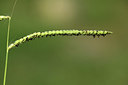 BUITEN BEELD Foto: 394808