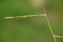BUITEN BEELD Foto: 394809