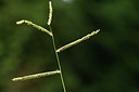 BUITEN BEELD Foto: 394810