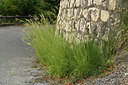 BUITEN BEELD Foto: 394815